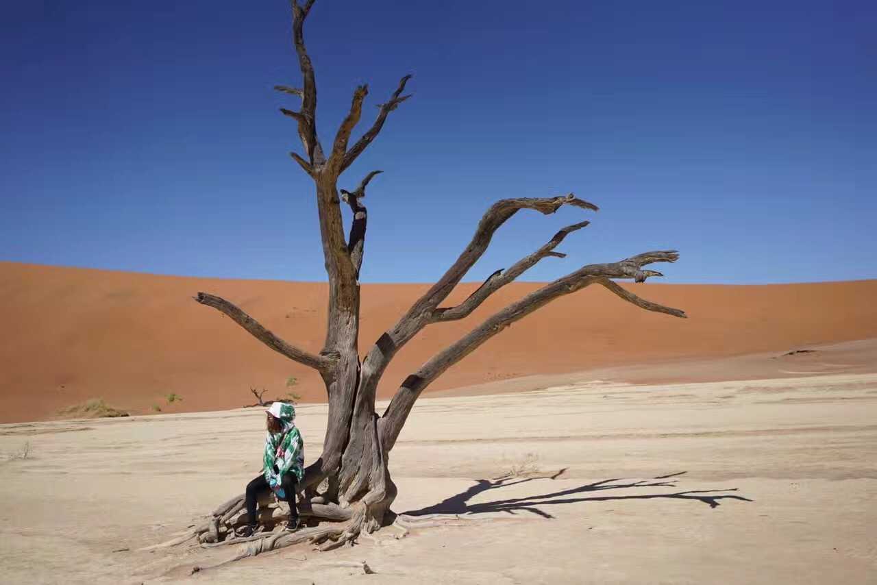 纳米比亚击败津巴布韦，晋级篮球八强的简单介绍