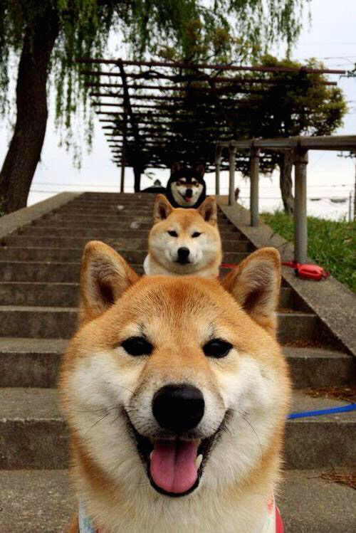 开云APP-楚阿梅尼的后置火炮，与勒沃库森的威尔士打法