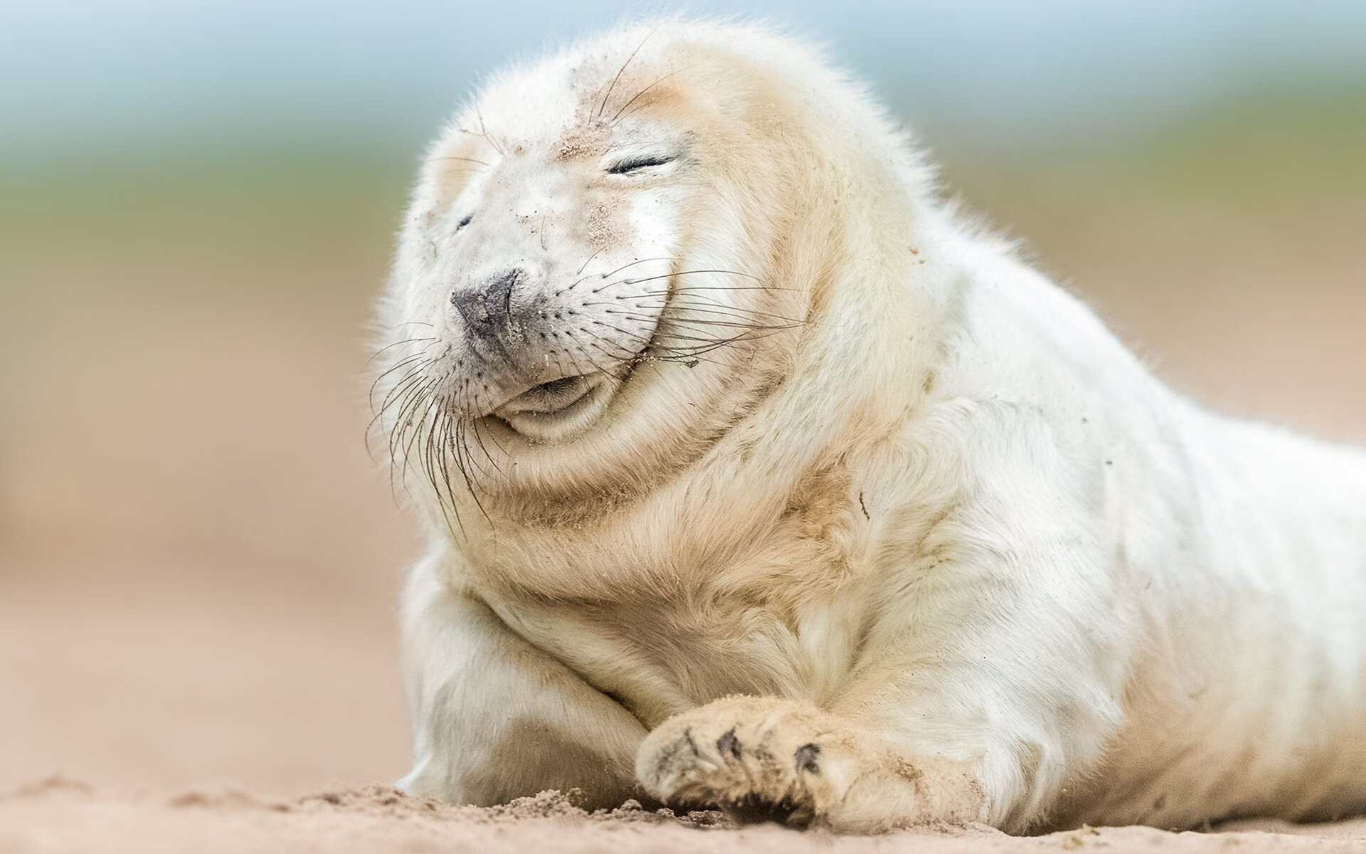 开云APP-定义唯一性，公牛铁血击溃独行侠，改写季后赛格局的年度焦点战