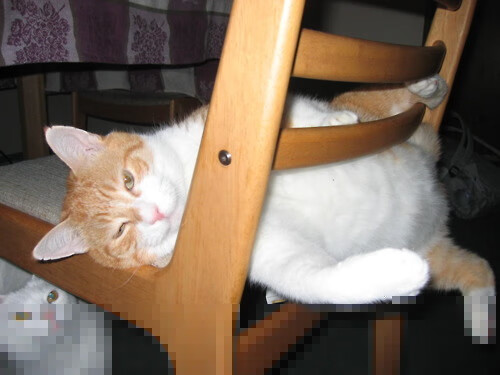 开云APP-字母哥跨界助阵,马刺传奇巅峰对决击败步行者