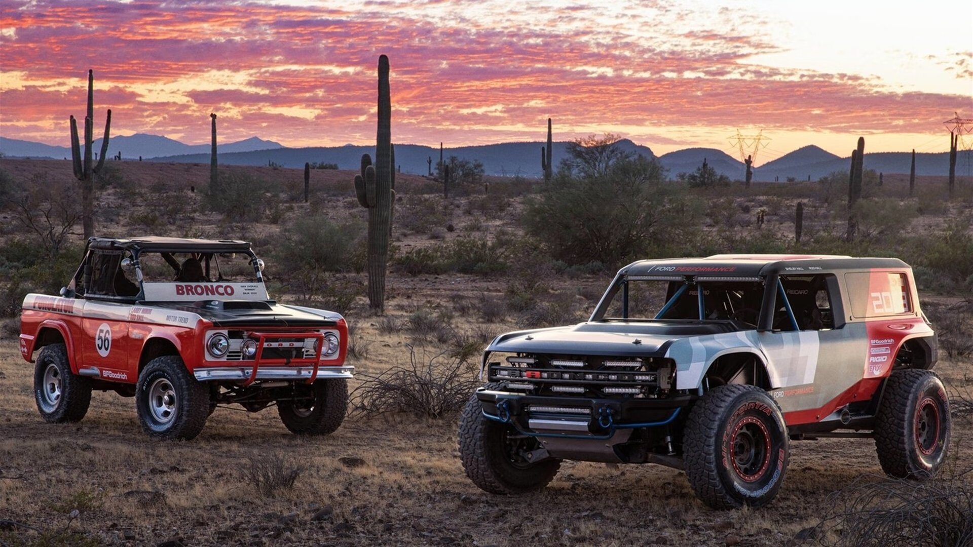 开云sport-跨界关键先生，当篮球场的太阳照亮胜利法则