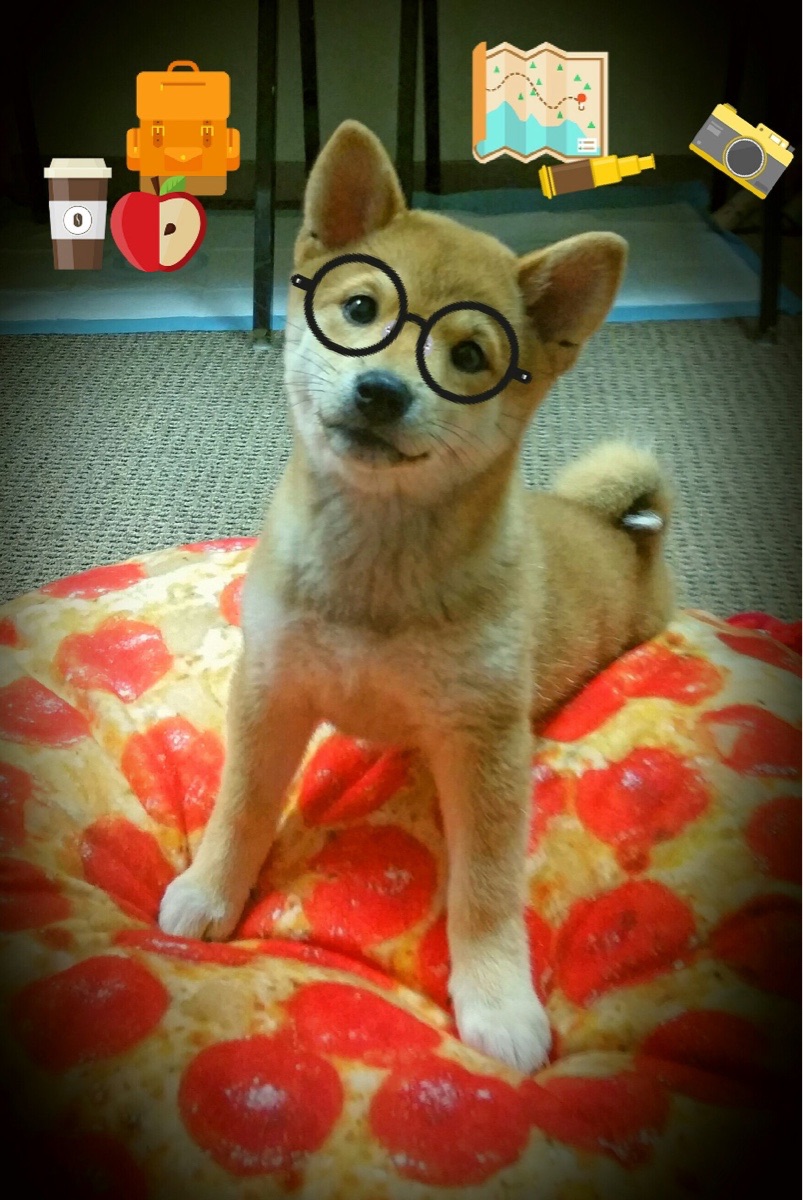 公牛以节奏掌控步行者,总决赛焦点战中的无声胜利