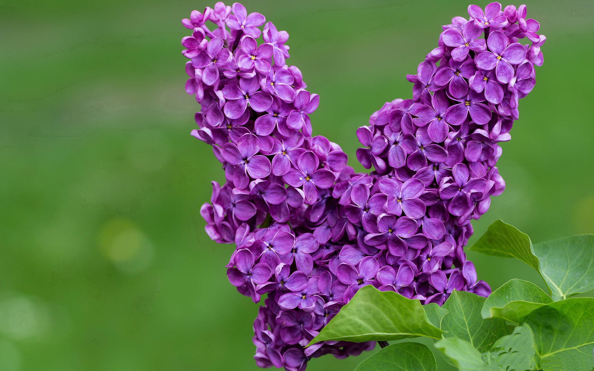 开云体育app-四秒钟与一生，奥亚尔萨瓦尔如何用一个非完美时刻改写奥地利足球