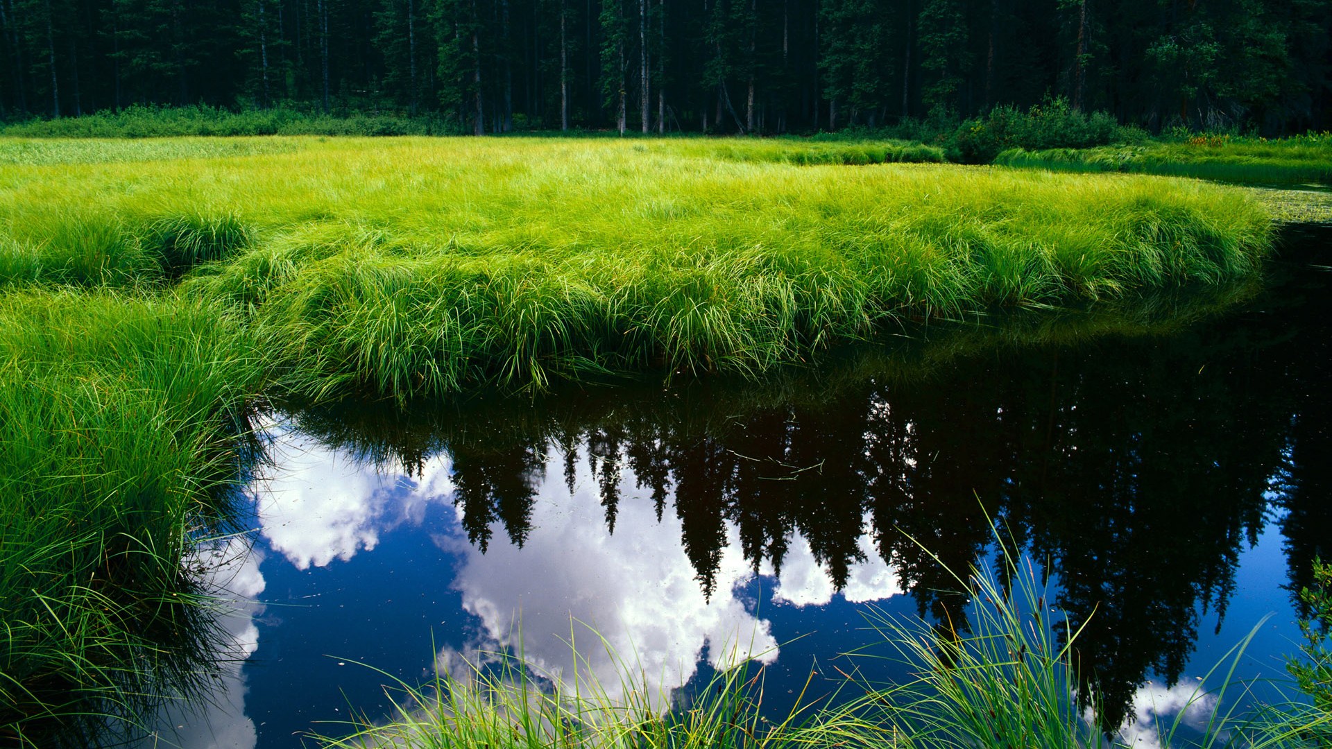 当CBA霸主跨界对决，广厦铁血锁死福克斯，东方战术哲学战胜NBA天赋