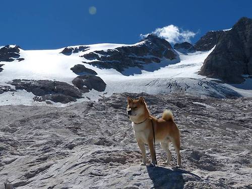 奥运周期关键战，伊朗强势压制加拿大，焦点战重塑资格格局
