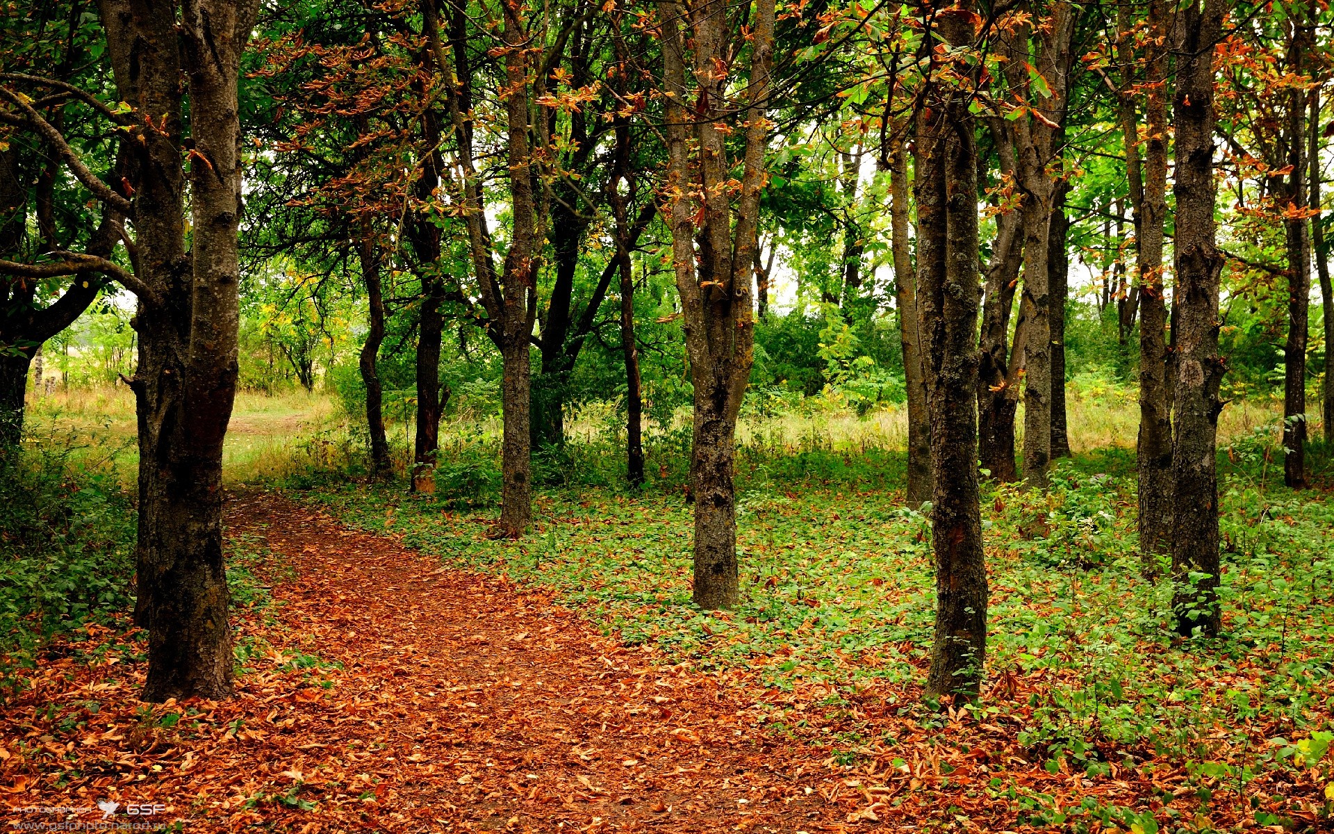 马克西持续杀伤内线，骑士主场强势擒获国王