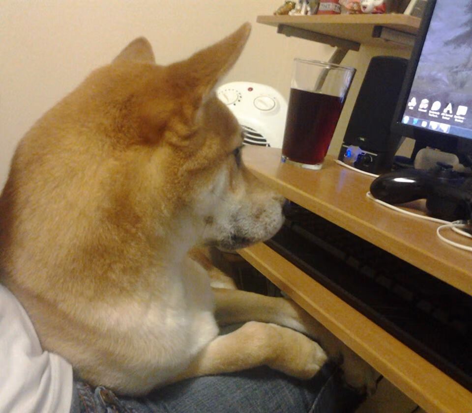 铁幕之后,淬火重生,奥利维耶一锤定音助西班牙淘汰澳大利亚