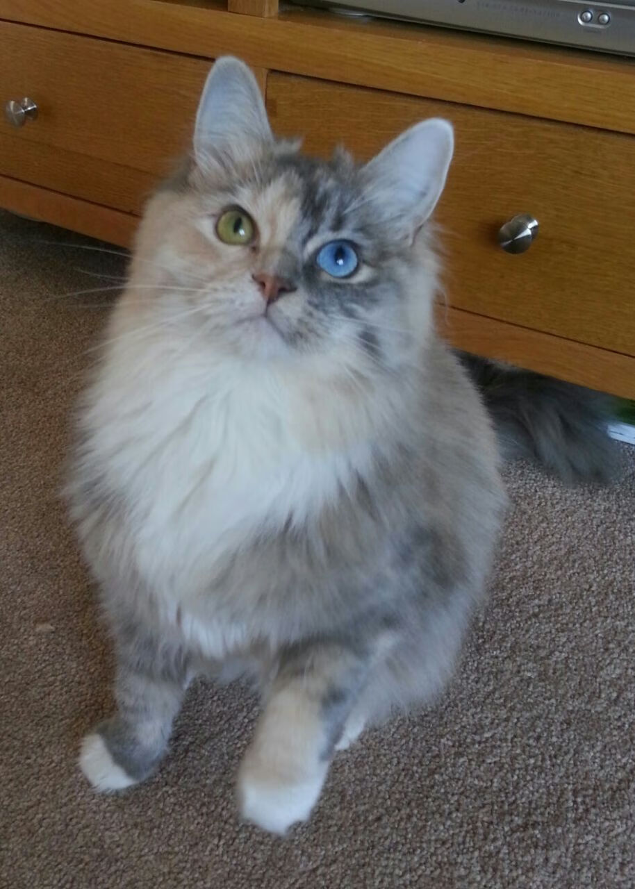 狼牙噬鹿!爱德华兹关键三分打穿雄鹿防线,森林狼宣告联盟新格局