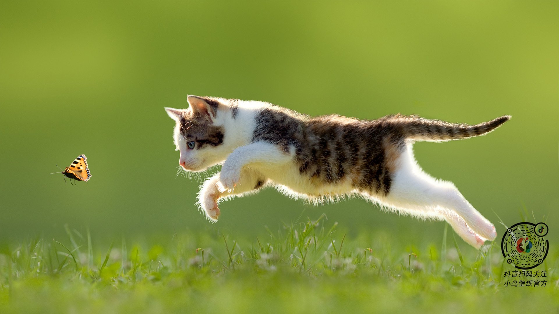 惊天逆转！罗德里爆发引领厄瓜多尔翻盘伊拉克