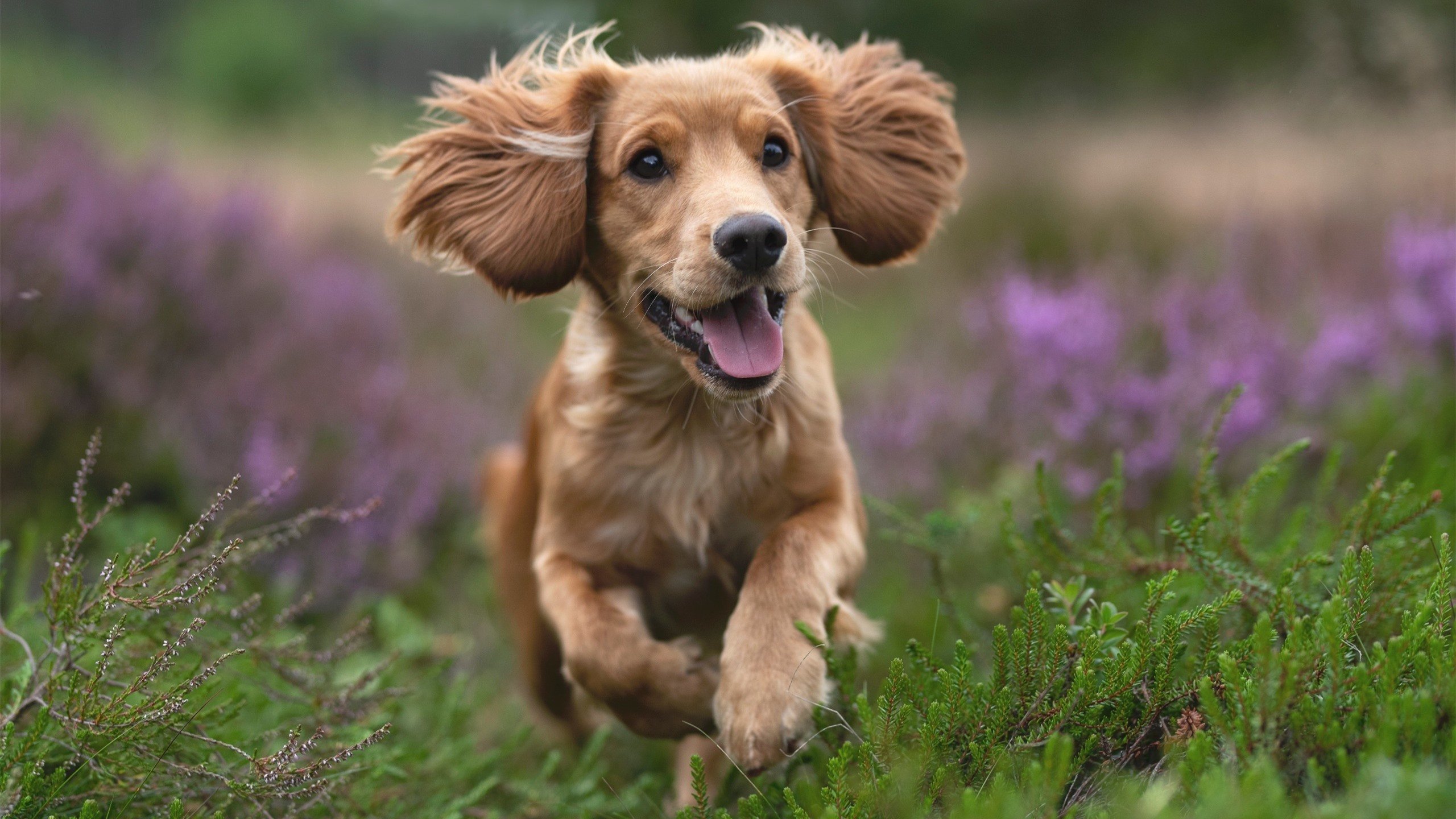 开云体育APP下载-蜡翅成钢，抢七之夜，贝恩如何以个人能力重写命运
