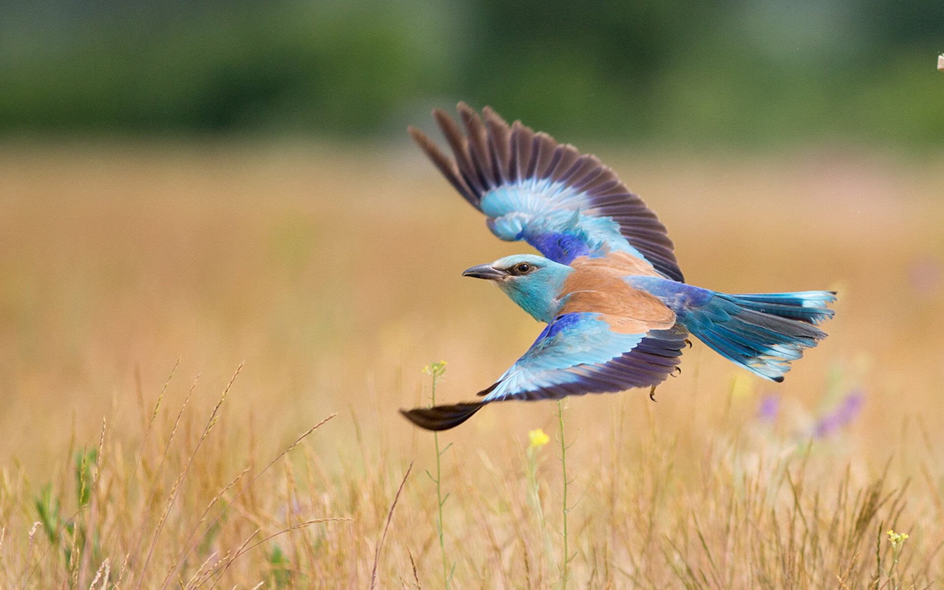 开云体育-终极假设，当季后赛抢七制遭遇足球神话—曼城在平行时空稳稳拿下韩国的文化解构