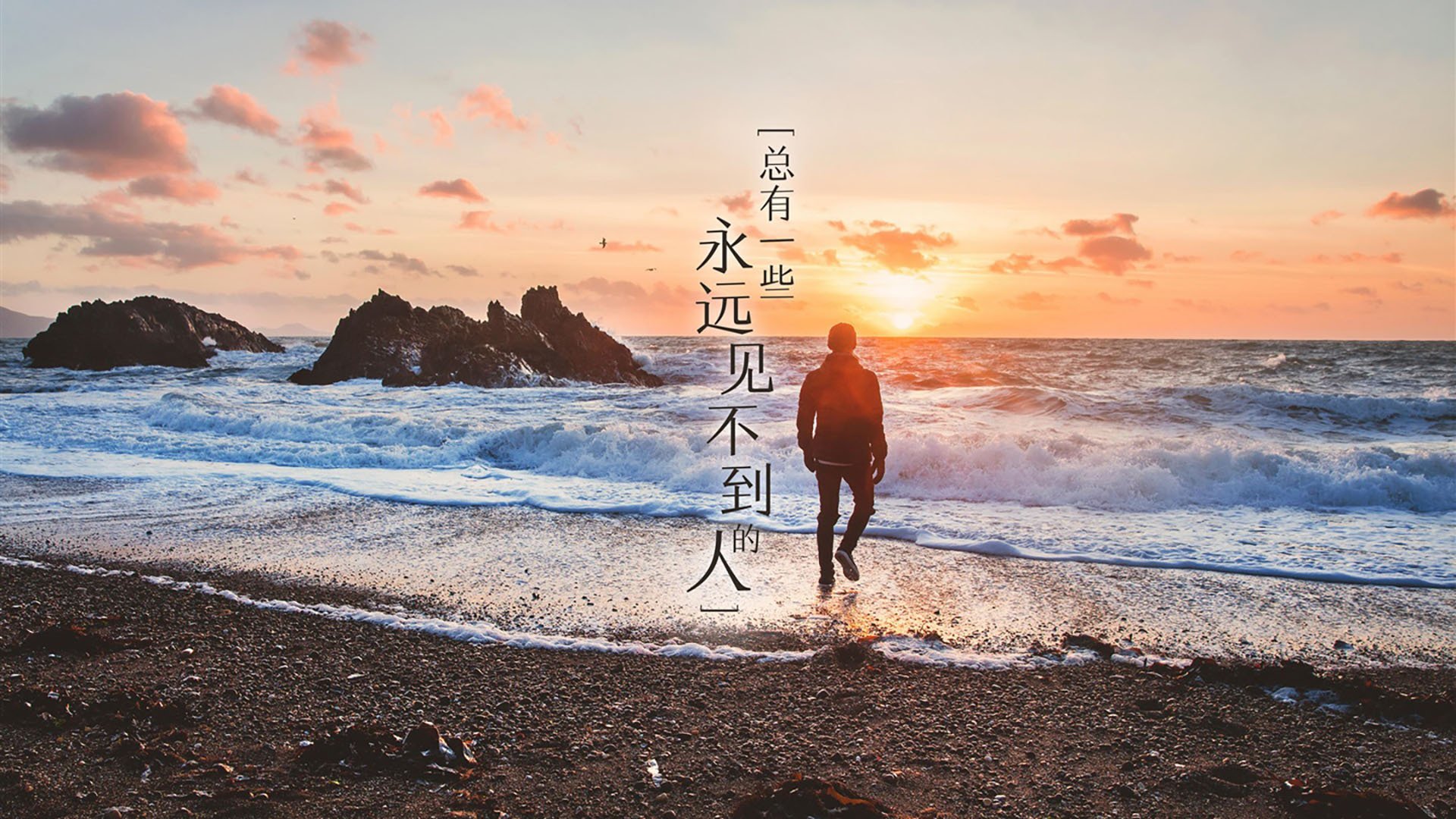 南十字星对决，奥斯梅恩一锤定音，澳大利亚关键战突围新西兰