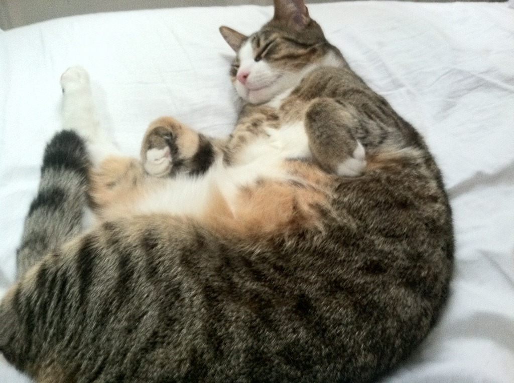 新王加冕,旧神叹息,哈利伯顿用实力引领76人强势晋级,勇士王朝迎来黄昏