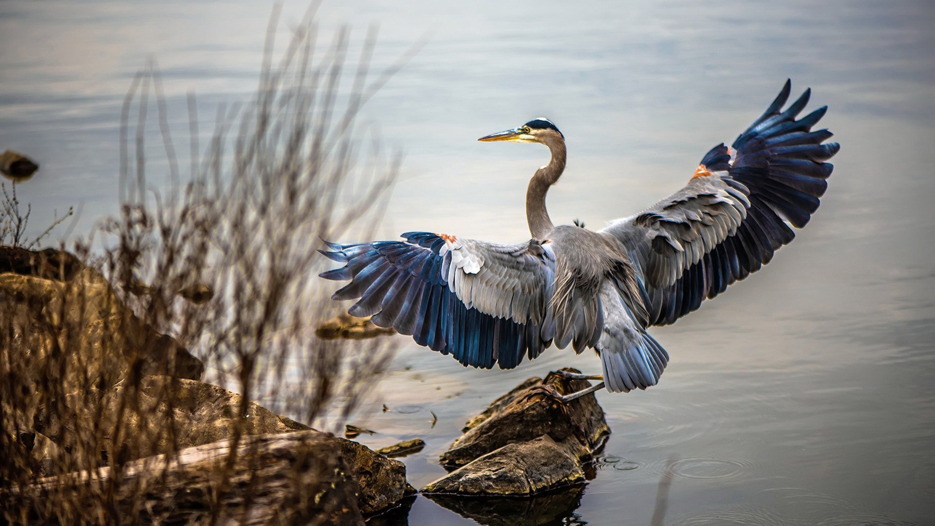 开云体育-雷霆裂空！马克西攻防窒息表演 快船夕阳战舰沉没洛城