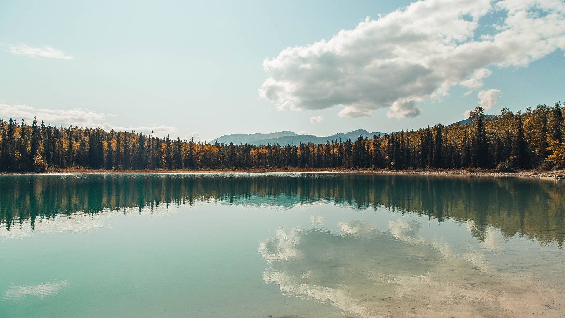 开云体育官网-熄灭的屏幕与布克的加时赛