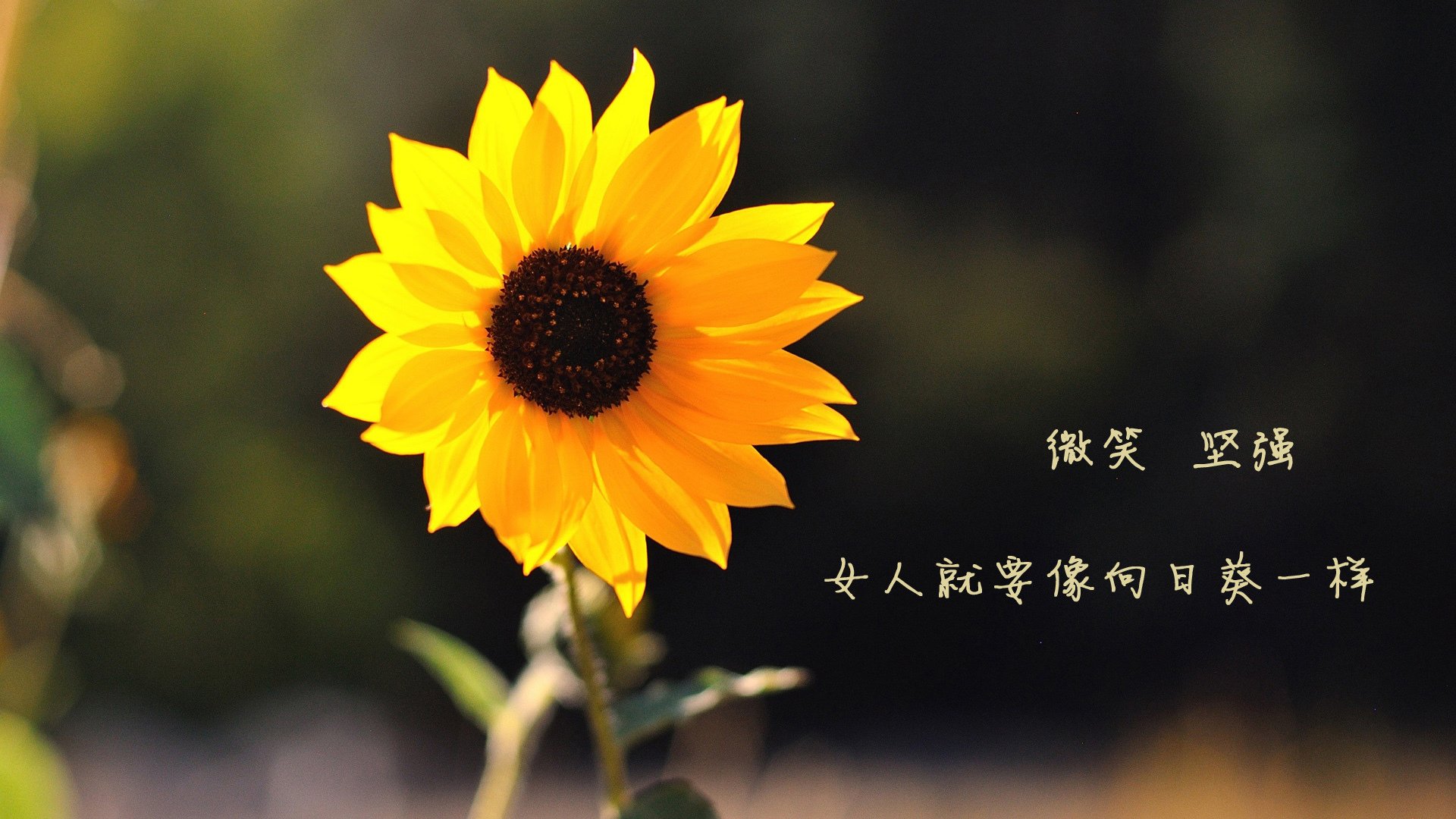 惊天压制！托尼绞杀利物浦核心，雷恩生死战逆袭创奇迹