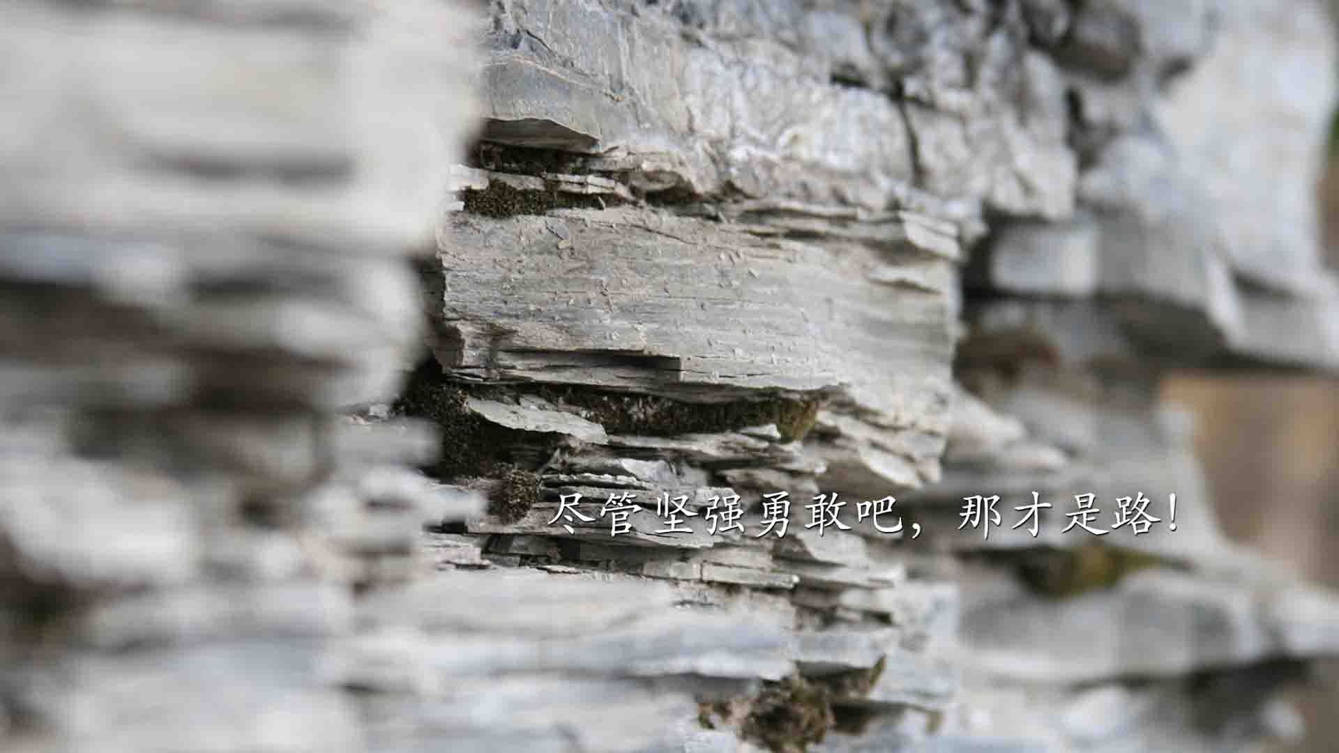 神性的一夜，戈麦斯如何将欧冠决赛，炼成一座名为不可阻挡的孤岛