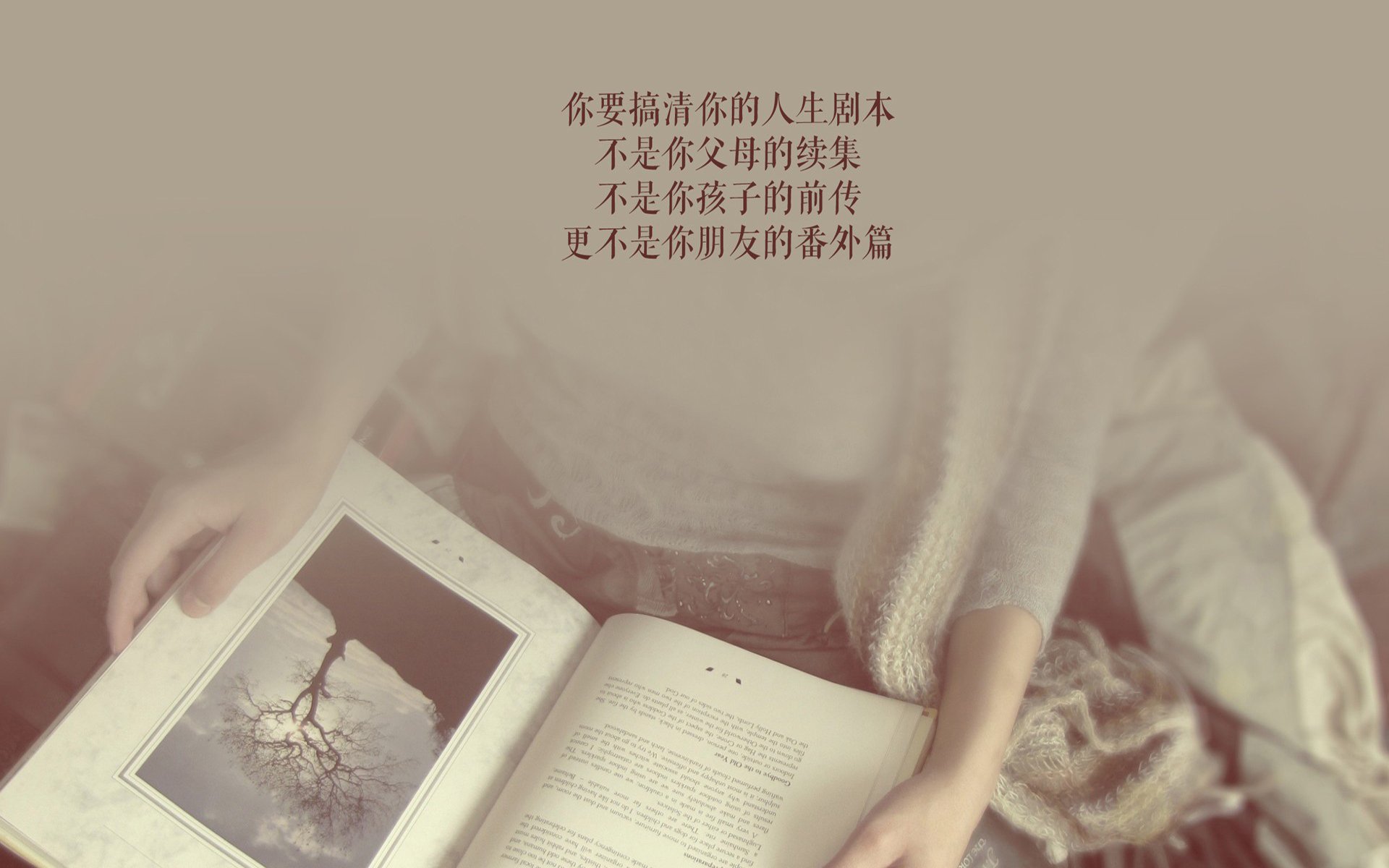 开云下载-2026世界杯H组，福登闪耀全场，韩国碾压秘鲁，一场注定载入史册的强强对话