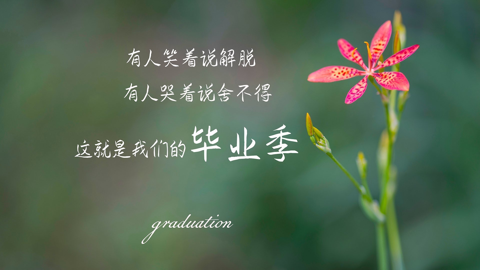 2026世界杯豪门对决，伊拉克铁壁防守力克印度，贝林厄姆闪耀新王加冕